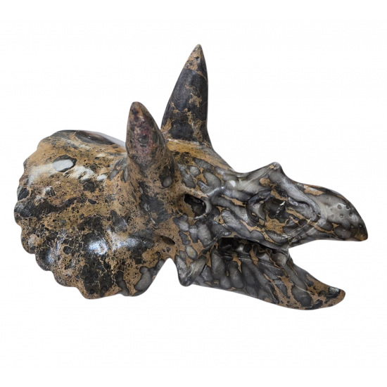 Triceratops skull jasper