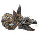 Triceratops skull jasper