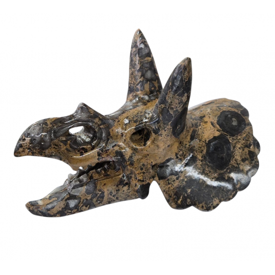 Triceratops skull jasper