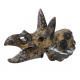 Triceratops skull jasper
