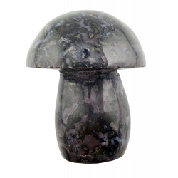 Champignon merlinite 