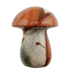 Champignon jaspe polychrome