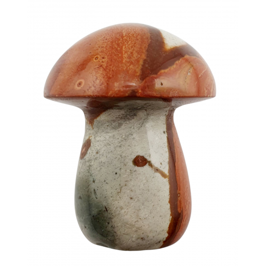 mushroom polychrome jasper