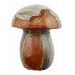 Champignon jaspe polychrome