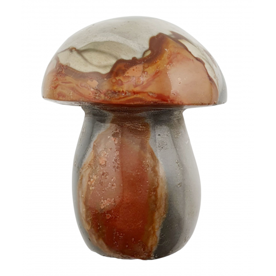 mushroom polychrome jasper