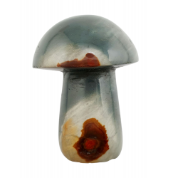 Champignon jaspe polychrome