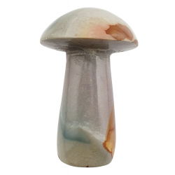 Champignon jaspe polychrome