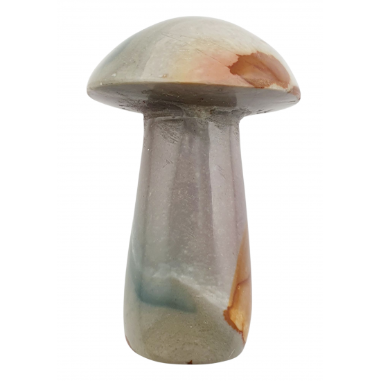 mushroom polychrome jasper
