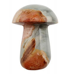 Champignon jaspe polychrome