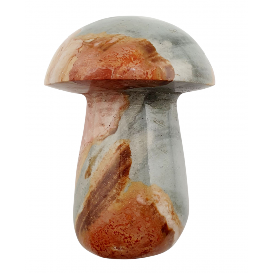 mushroom polychrome jasper