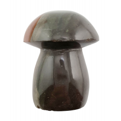 Champignon jaspe polychrome