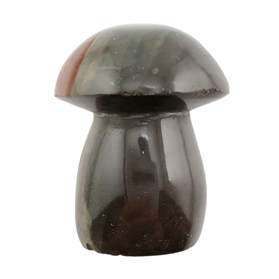 mushroom polychrome jasper mushroom polychrome jasper