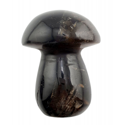 Champignon quartz fume