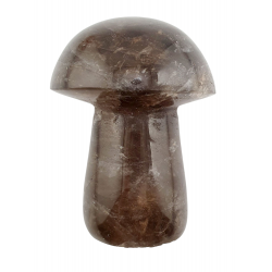 Champignon quartz fume