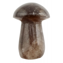 Champignon quartz fume