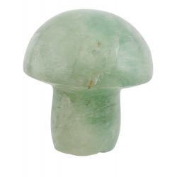 Champignon fluorine verte 