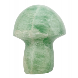 Champignon fluorine verte 