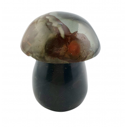 Champignon jaspe polychrome