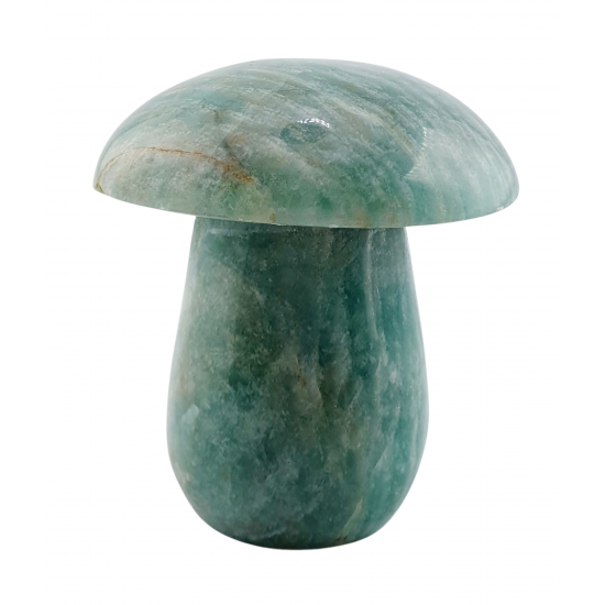 mushroom amazonite 