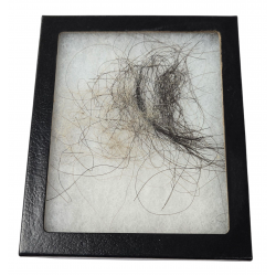 Mammuthus Primigenius Mammuth Hair
