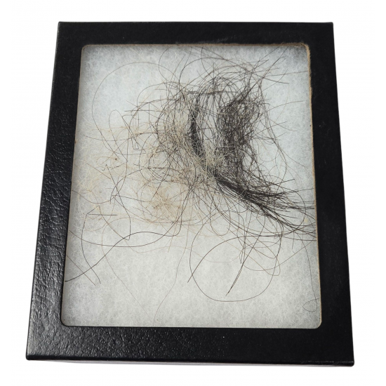 Mammuthus Primigenius Mammuth Hair