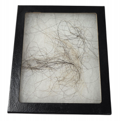 Mammuthus Primigenius Mammuth Hair