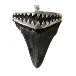 pendant real megalodon tooth