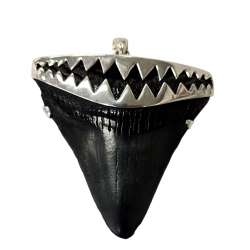 pendant real megalodon tooth