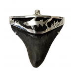 pendant real megalodon tooth