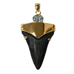 pendant real megalodon tooth and topaze