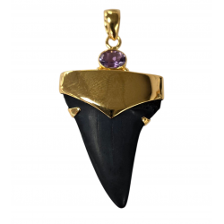 pendant real isurus tooth and amethyst