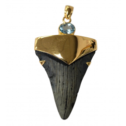 pendant real megalodon tooth and topaze
