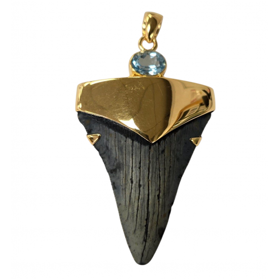 pendant real megalodon tooth and topaze