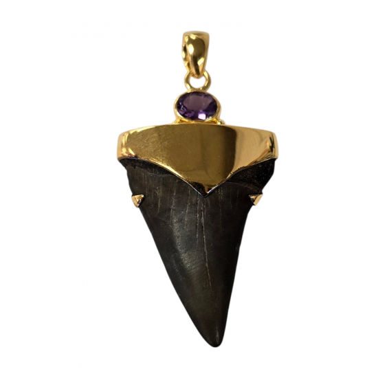 pendant real isurus tooth and amethyst