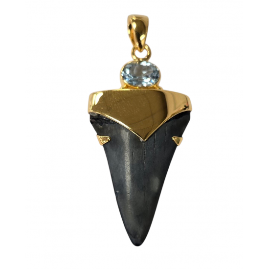 pendant real isurus tooth and topaze