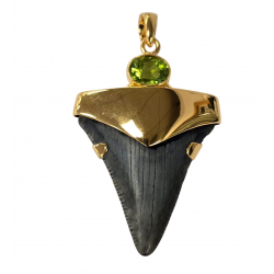 pendant real megalodon tooth and peridot