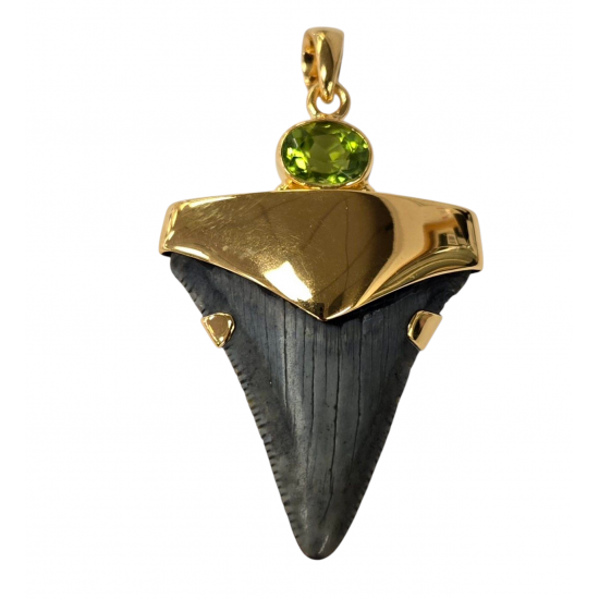 pendant real megalodon tooth and peridot