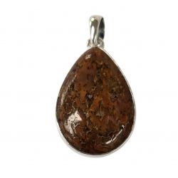 pendant gem bone real dinosaur bones silver