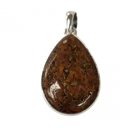 pendant gem bone real dinosaur bones silver