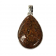 pendant gem bone real dinosaur bones silver