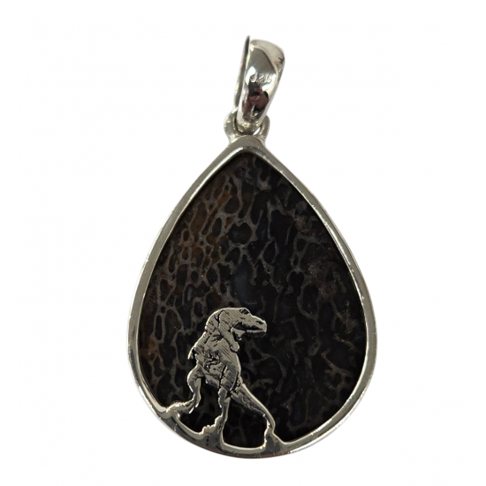 pendant gem bone real dinosaur bones silver