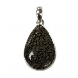 pendant gem bone real dinosaur bones silver