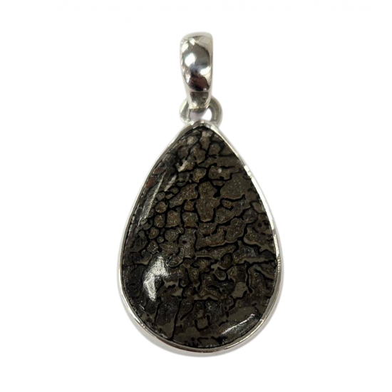 pendant gem bone real dinosaur bones silver
