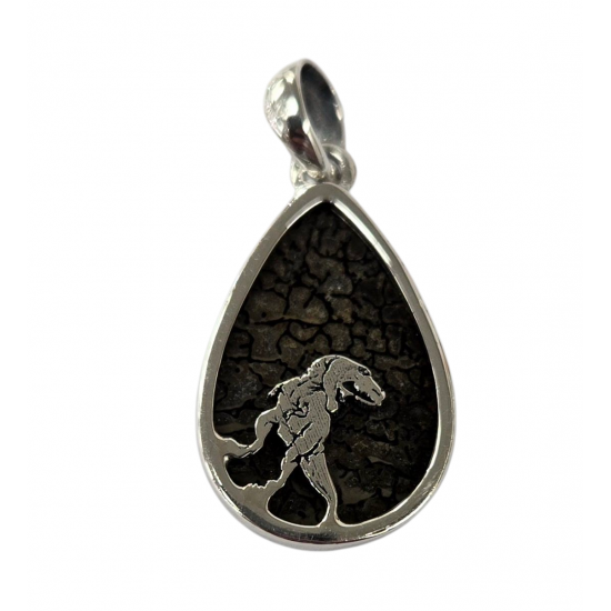 pendant gem bone real dinosaur bones silver