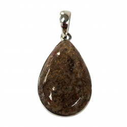 pendant gem bone real dinosaur bones silver