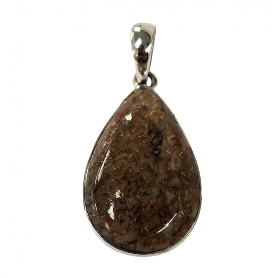 pendant gem bone real dinosaur bones silver