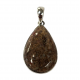 pendant gem bone real dinosaur bones silver