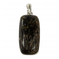 pendant gem bone real dinosaur bones silver