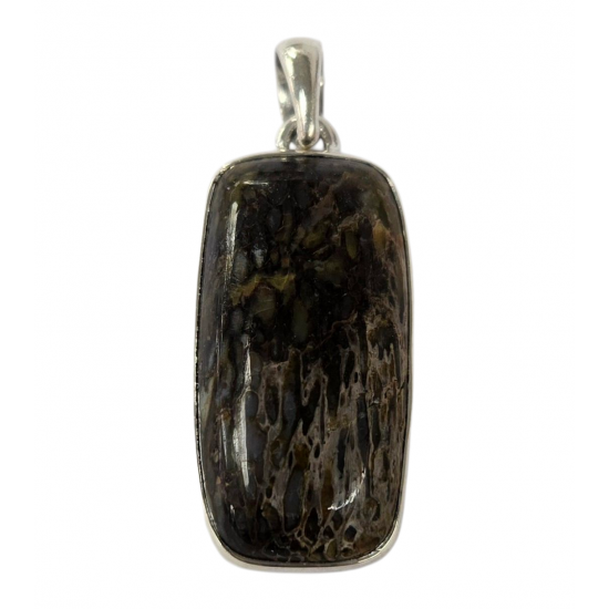 pendant gem bone real dinosaur bones silver