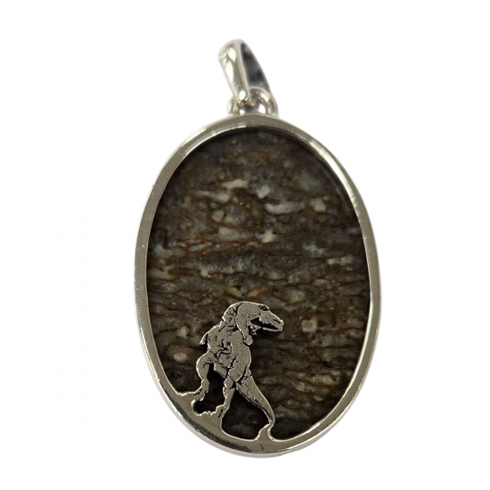 pendant gem bone real dinosaur bones silver
